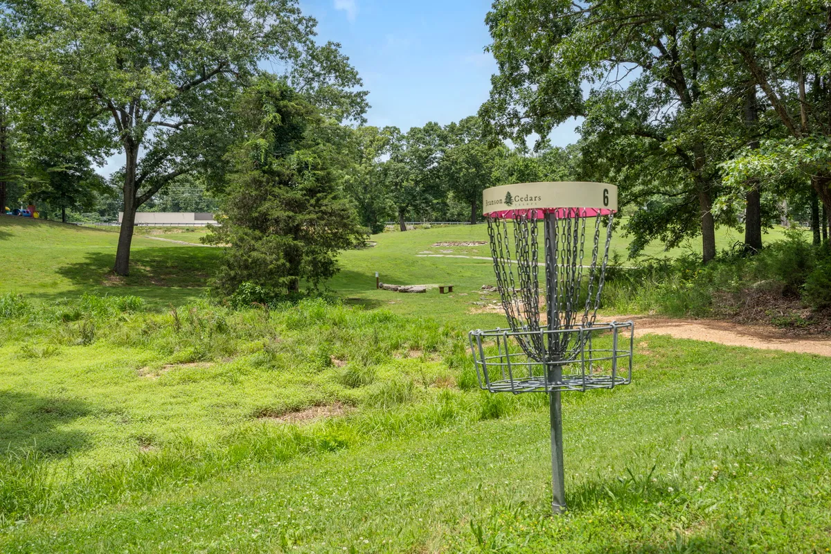 A disc golf basket stands beside a lush, open field bordered by trees. The area is bright and inviting, ideal for moments of playful competition or relaxed walks with pets.